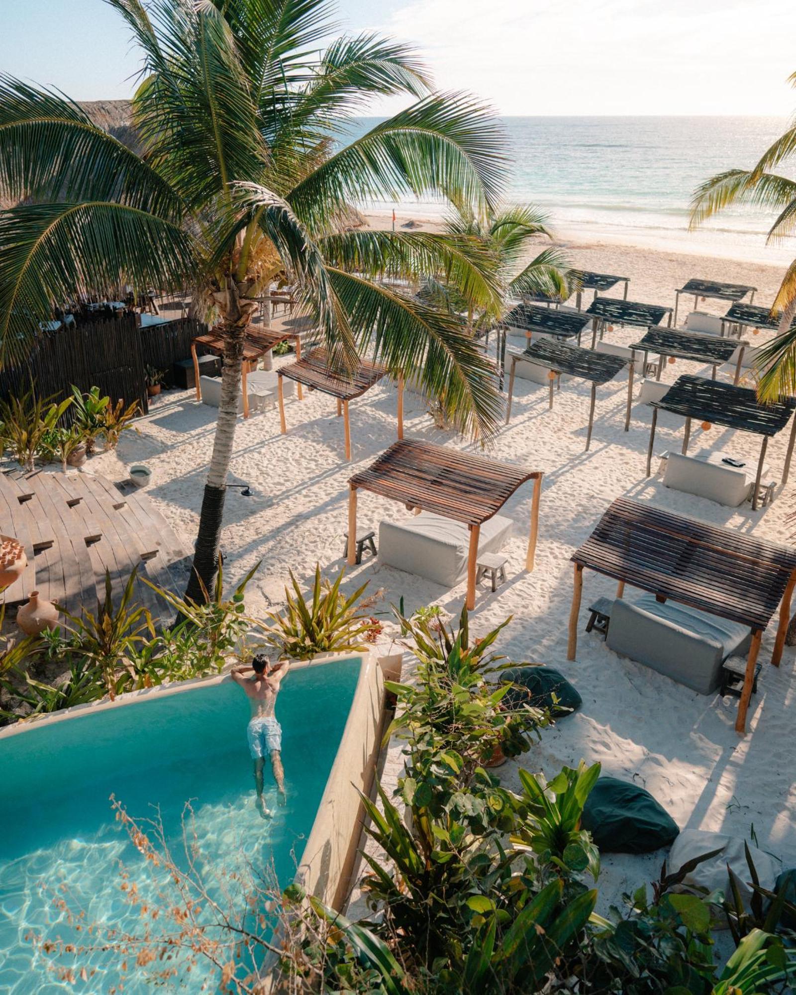 Dhalia - Private Roof With Pool & Beach Club Access Tulum Exteriör bild