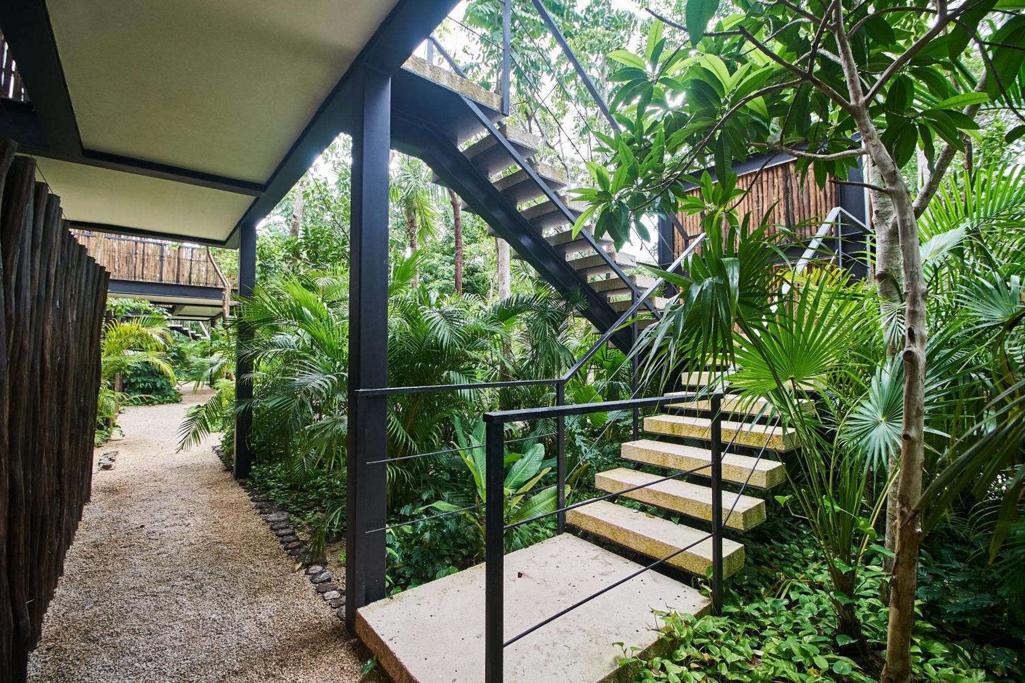 Dhalia - Private Roof With Pool & Beach Club Access Tulum Exteriör bild